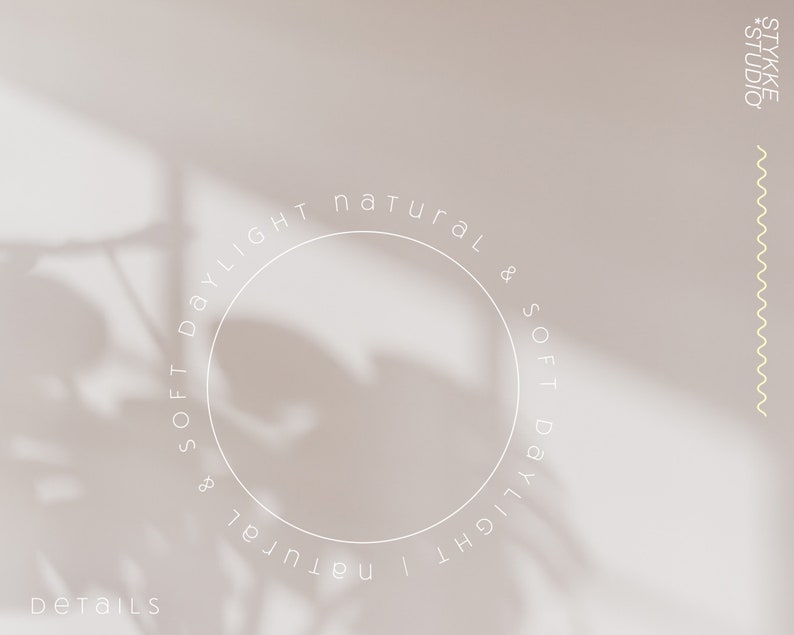 Peut inclure: Un fond blanc avec l'ombre d'une plante et un cercle avec le texte "& SOFT DAYLIGHT & NATURAL" autour. Le texte "DETAILS" est en bas &agrave; gauche de l'image. Le texte "STYKKE STUDIO" est en haut &agrave; droite de l'image.