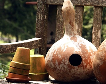 Birdhouse Gourd Seeds - Bottle Gourd for Crafting, Heirloom Open Pollinated Ornamental