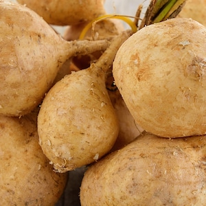 May include: Close-up of a pile of jicama roots. The jicama has a light brown, textured skin and a round shape. Some roots have attached stems and roots. The image is well-lit, showing the details of the vegetable.