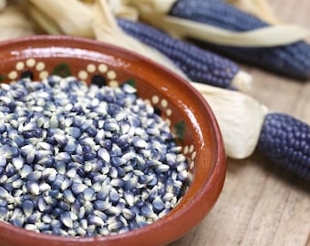 Hopi Blue Corn Seeds, Flint, Sweet, and Ornamental Heirloom Vegetable