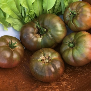 Black Brandywine Tomato Seeds, Heirloom Tomato Seeds, Indeterminate Tomatoes, Non GMO, Open Pollinated, Gift For Gardener Idea