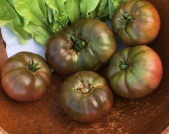 Black Brandywine Heirloom Tomato Seeds, Indeterminate, Non GMO, and Open Pollinated