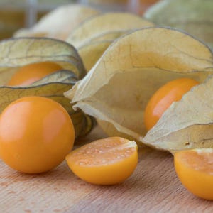 Cape Gooseberry 150+ Seeds, Peruvian Ground Cherry, Easy To Grow Fruit, Physalis peruviana