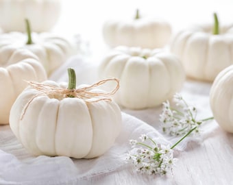 Baby Boo Miniature Pumpkin Seeds for Planting, Edible Ornamental Garden