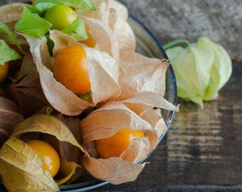 Solanum Retroflexum - Wikipédia - Foto 2