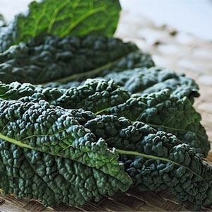 Dinosaur Kale Seeds 125+, Lacinato Kale, Open Pollinated Heirloom Vegetable Seeds, Cold Hardy, Tuscan Kale