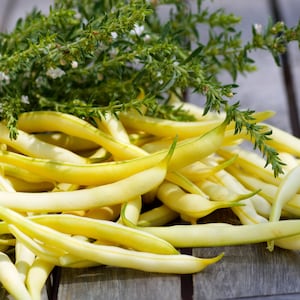 May include: A bunch of yellow wax beans with green leafy sprigs on top.