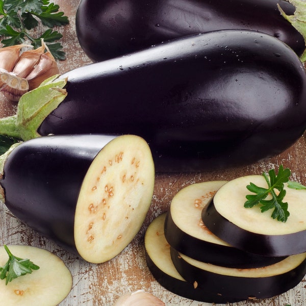 Black Beauty Eggplant Seeds / 80+ Eggplant Seeds / Purple Globe Eggplant / Heirloom Vegetable Seeds / Aubergine / Open Pollinated / Non GMO