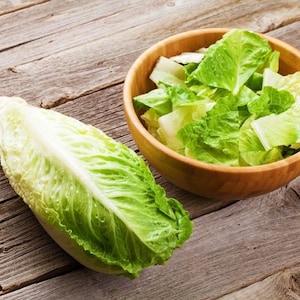 300+ Romaine Parris Island Cos Lettuce Seeds, Non GMO and Open Pollinated Heirloom Vegetable