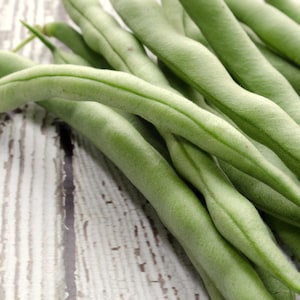 Kentucky Wonder Bean Seeds, 25+ Pole Beans, Heirloom Vegetable, Dual Snap Bean and Shelling Bean