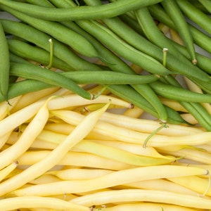Cherokee Yellow & Provider Bicolor Bush Bean Seed Mix, Heirloom Vegetable Garden