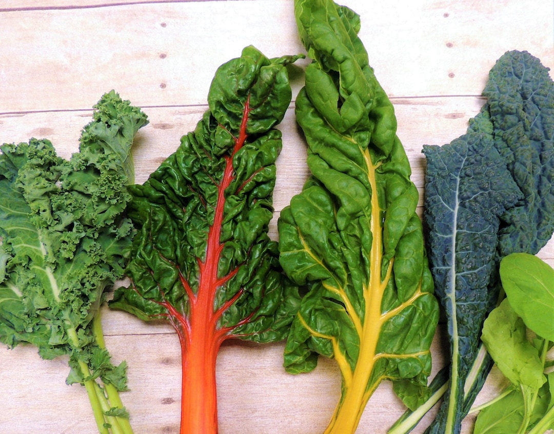 Kale and Rainbow Chard Seeds Mix, Swiss Chard and Kale Seeds, White