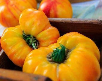 30+ Pineapple Heirloom Tomato Seeds, Open Pollinated and Non GMO