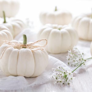 May include: A collection of small, white pumpkins with green stems and a natural twine bow. The pumpkins are arranged on a white surface, with delicate white flowers adding a touch of elegance. The pumpkins have a ribbed texture.