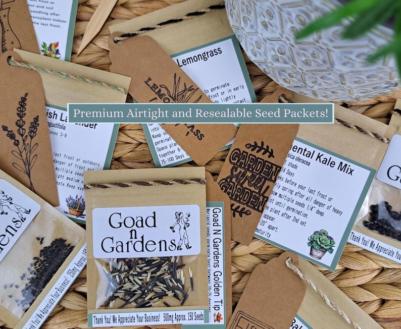 Hypoestes Seeds. Goad N Gardens premium hand-assembled seed packets are airtight, waterproof, resealable and reusable. we also include our favorite growing tips with each variety and thank-you gifts with every order. Happy gardening