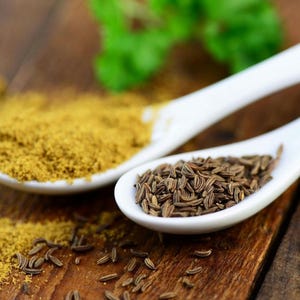 Cumin 100 Seeds - Cuminum Cyminum, Heirloom Herb & Spice