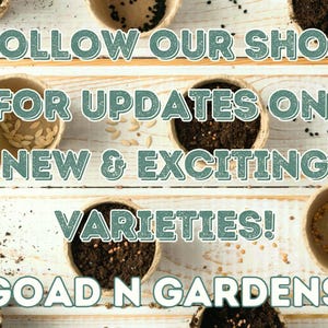Thank you for supporting our small business! Goad N Gardens. Helping To Grow Your Golden Garden One Seed At A Time. Follow our shop for updates on new seed varieties.