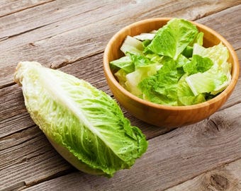 Romaine Parris Island Cos Lettuce Seeds - 300+, Non GMO and Open Pollinated Heirloom Vegetable