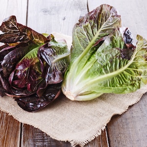 Rouge D&#39;Hiver Romaine Lettuce Seeds: Heirloom Cos Variety, Lactuca sativa