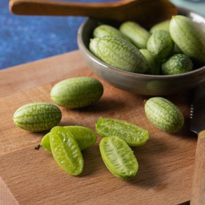 Mexican Sour Gherkin Seeds, Melothria scabra, Cucamelon, Heirloom Vegetable Garden