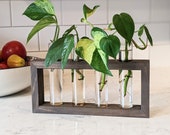 Propagation Station Wooden Propagation Test Tubes Test tube propagation Plant gift Wall Plant Propagation