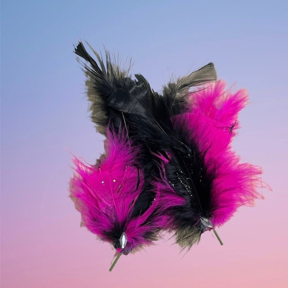 Dog feather top hair extensions