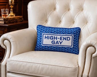 High-End Gay Blue Needlepoint Pillow