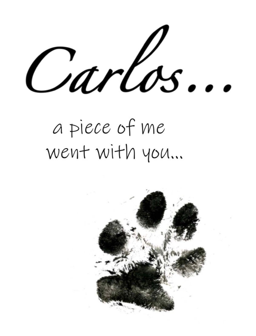 Personalisierte Trauerkerze GedenkkerzeAndenken Hund Etsy