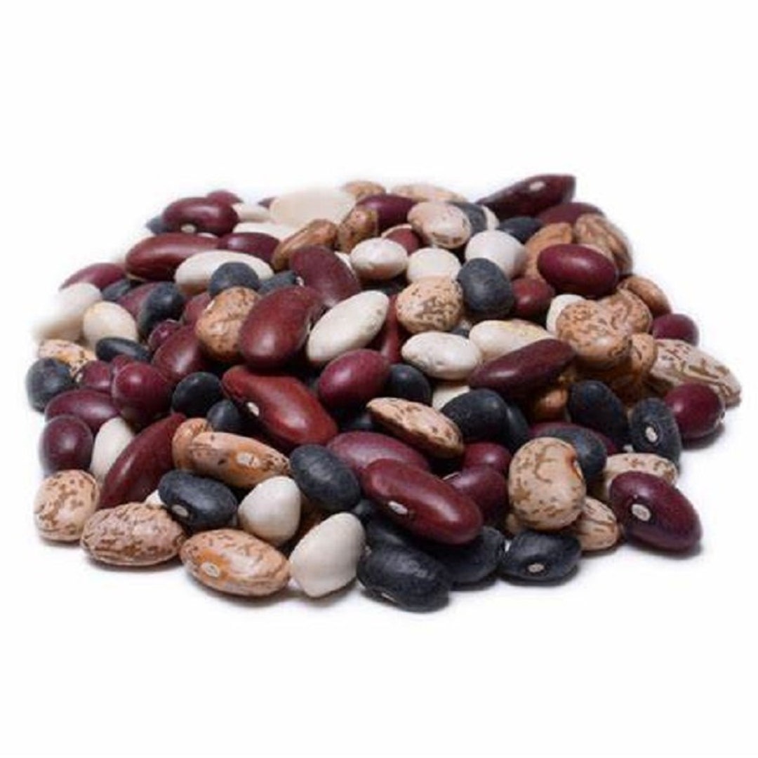 Chili Bean Seeds Mix Etsy