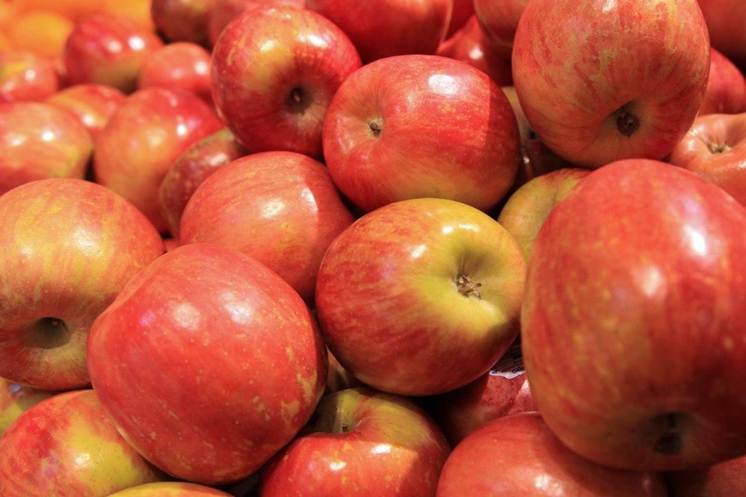 Fuji Apple Seeds Etsy