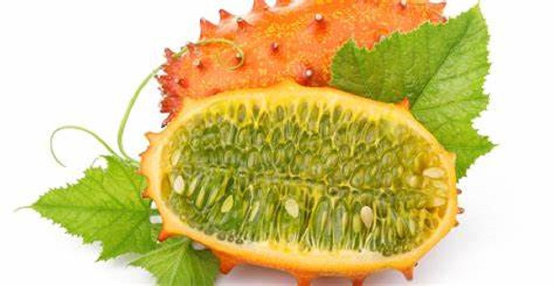 Kiwano Melon Seeds Etsy