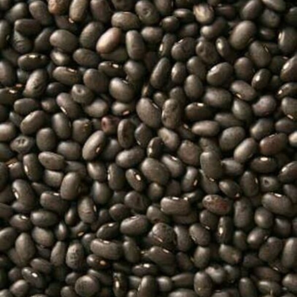Black Turtle Beans Etsy
