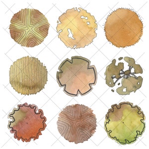 Landscape Graphics - Plan View Trees - Watercolor - Brown Variety