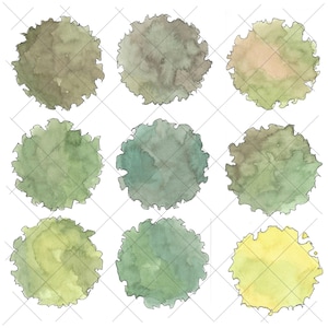 Könnte beinhalten: Neun Aquarell-Illustrationen von verschiedenen Baumarten, jede mit einer einzigartigen Form und Farbe. Die Bäume sind in Grüntönen, Braun- und Gelbtönen gemalt.