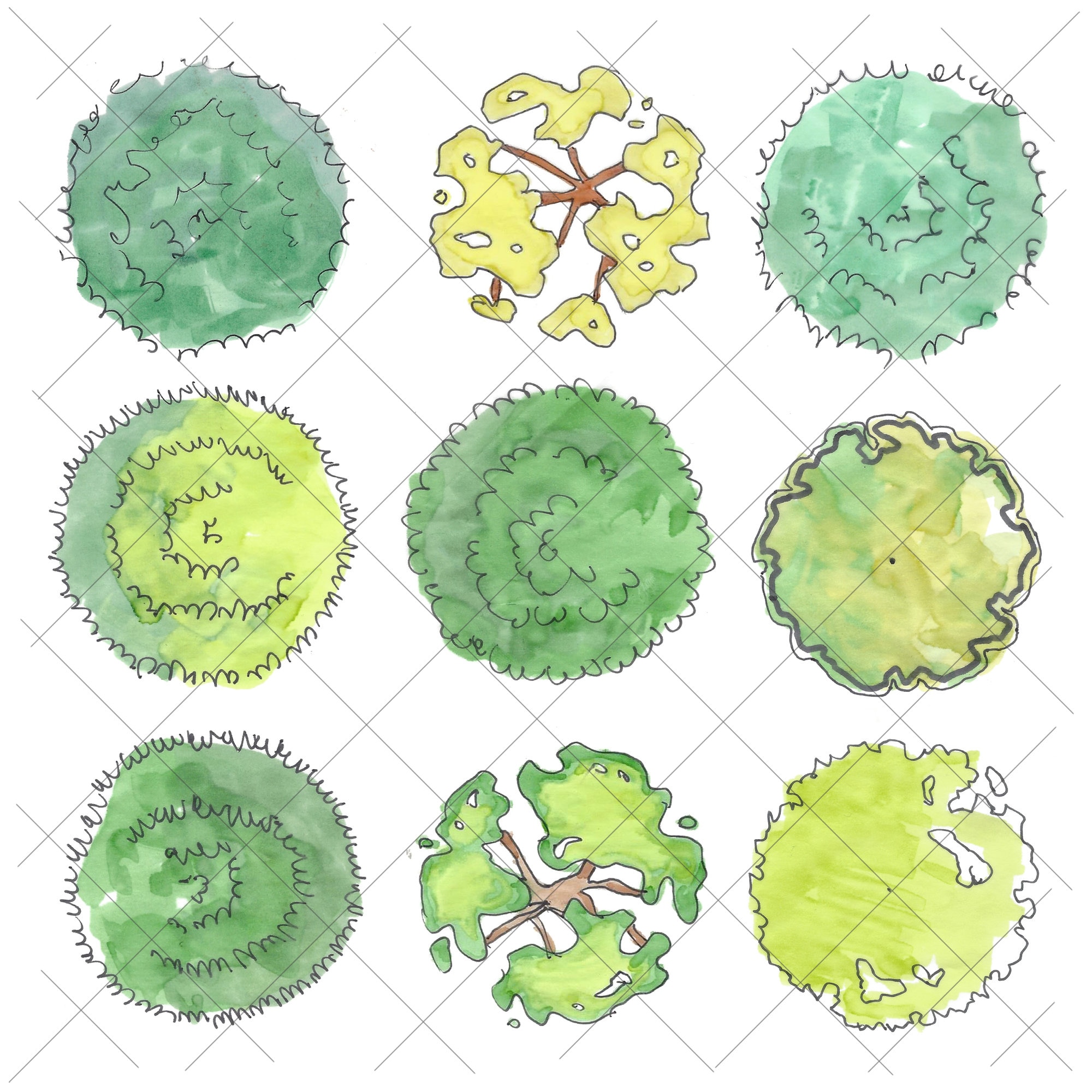 Tree Plan In Graphics Landscape Graphics - Plan View Trees - Marker - Bright Green Variety - Etsy