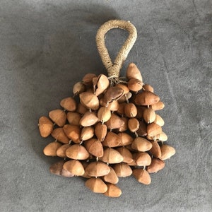 Shaker di gusci di semi, noci di cha cha, suono curativo, scatola regalo, ritorno alla natura, acqua che gocciola, fatto a mano, guiro in legno, agogo, rosari, terapia tribale