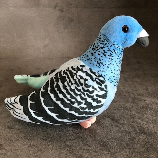 Pigeon avec un jouet en peluche de pain, cadeau d'amoureux des oiseaux,  cadeau de farce -  France