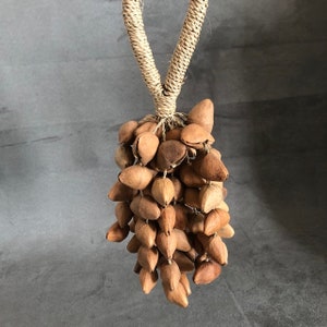 Seed Shell Shaker Cha Cha Nut Trickling Water Sounds Natural Handmade Bell Percussion Sound Therapy Healing Ethnic Tribal Cabalonga image 2