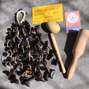 Nut Shell Cabalonga Shaker Gift Set Trickling Water Sound Natural Handmade Percussion Therapy Healing Guiro Egg Accessories Ethnic Tribal