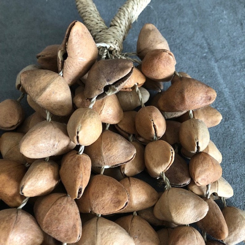 Seed Shell Shaker Cha Cha Nut Trickling Water Sounds Natural Handmade Bell Percussion Sound Therapy Healing Ethnic Tribal Cabalonga image 3