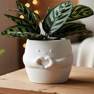 Heart Hands Planter Cute Succulent Pot Smiling Face Minimalist Plant Lover Gift