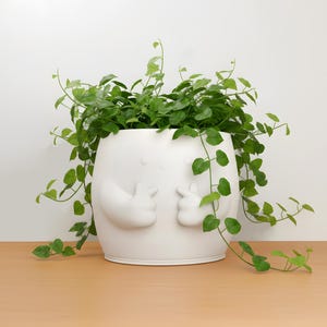 May include: A white ceramic planter with a unique design, featuring a rounded shape and sculpted arms and hands. The planter is filled with vibrant green trailing plants. The planter is on a wooden surface.
