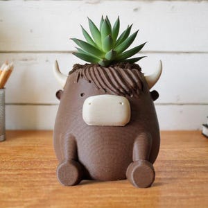 May include: A brown, bull-shaped planter with a green succulent plant. The planter has white horns and a white face. The planter is sitting on a wooden surface. A metal pencil holder and a stack of books are in the background.