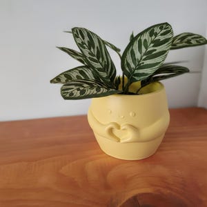 May include: A small houseplant in a yellow ceramic pot. The pot is shaped like a figure with arms forming a heart. The plant has green and white striped leaves. The pot is sitting on a wooden surface.