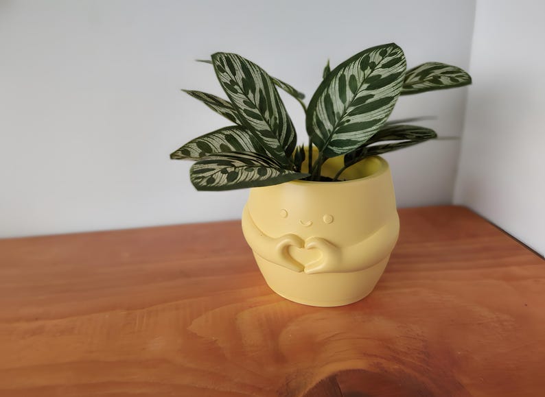 May include: A small houseplant in a yellow ceramic pot. The pot is shaped like a figure with arms forming a heart. The plant has green and white striped leaves. The pot is sitting on a wooden surface.