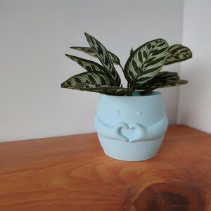 May include: A pale blue ceramic plant pot featuring a smiling face and hands shaped into a heart. It contains a small houseplant with green and white striped leaves. The pot is on a wooden surface.