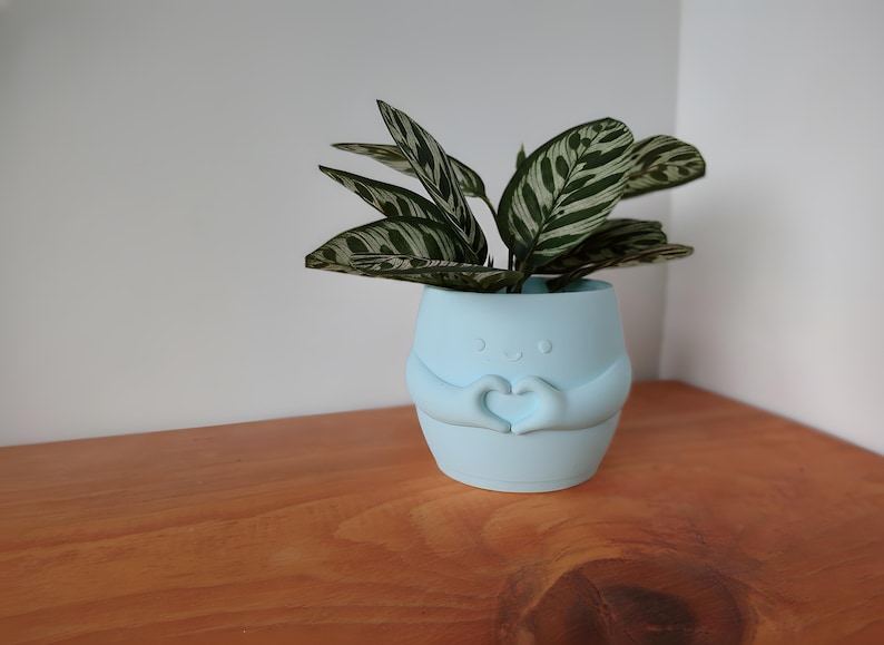 May include: A pale blue ceramic plant pot featuring a smiling face and hands shaped into a heart. It contains a small houseplant with green and white striped leaves. The pot is on a wooden surface.