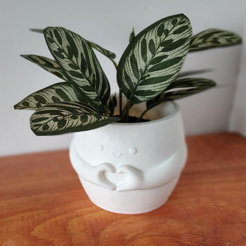 May include: A white ceramic plant pot with a smiling face and hands shaped into a heart, holding a green and white patterned plant. The plant has large, textured leaves. The pot sits on a wooden surface.