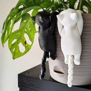 May include: Two cat-shaped plant pot hangers, one black and one white, clinging to the side of a gray plant pot. The cats have a textured surface and a chain-like tail. A green plant with large, hole-filled leaves is in the background.