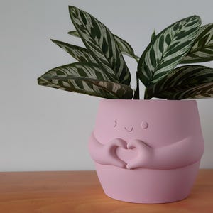 May include: A pink plant pot with a smiling face and arms forming a heart shape, holding a green and white striped plant. The pot is on a wooden surface.